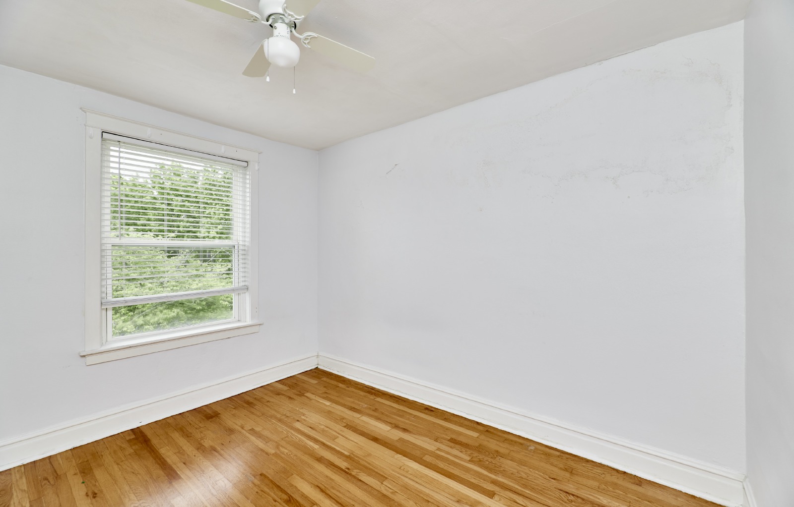 5202 Bancoft Ave #A property image